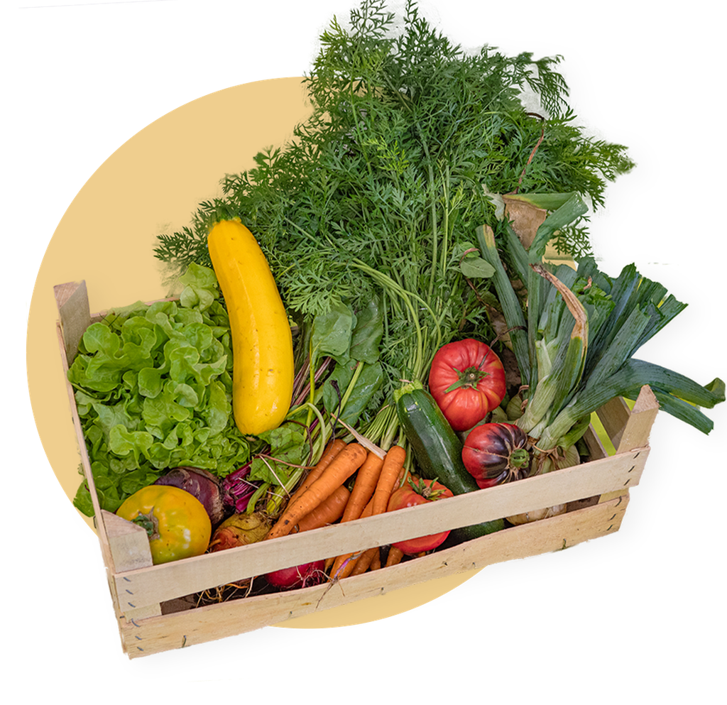 Grand panier