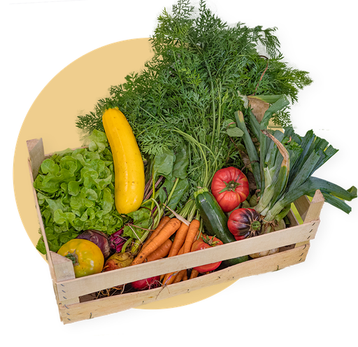 Grand panier